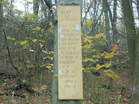 P1030443